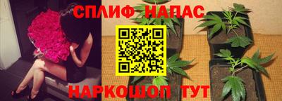 прущий лед Кингисепп