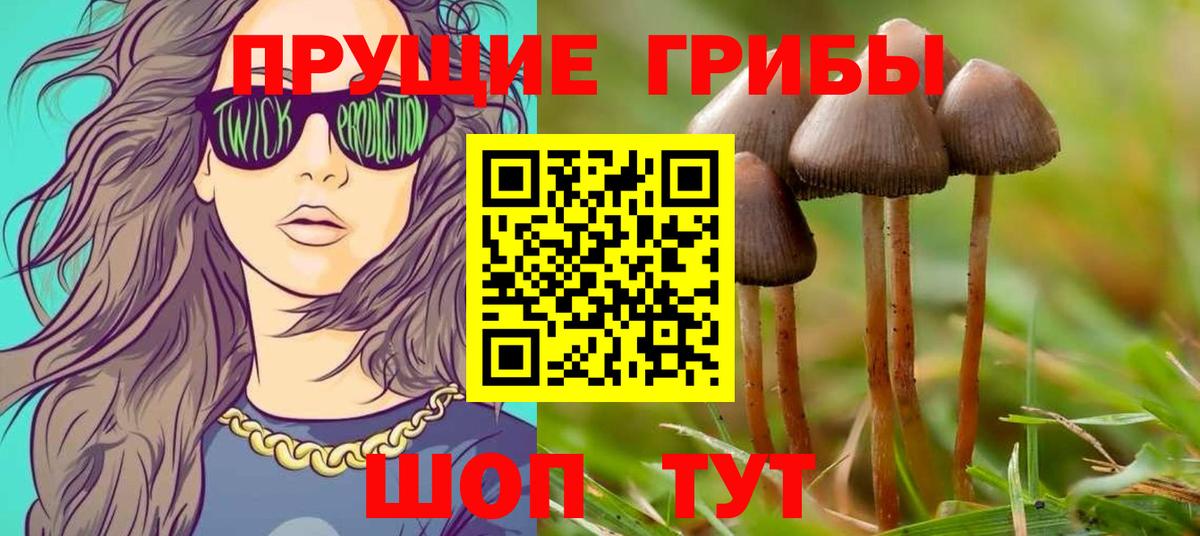 Псилоцибиновые грибы Psilocybine cubensis  Галлюциногенные грибы Psilocybe  где найти   Вход с VPN  Гусь-Хрустальный 