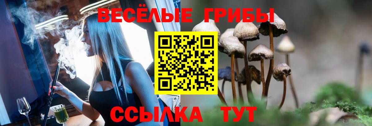 Кокаин  Вход с VPN  Конопля  Мефедрон   Гусь-Хрустальный  Кодеин  Гашиш  Цена 